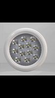 Animated Light