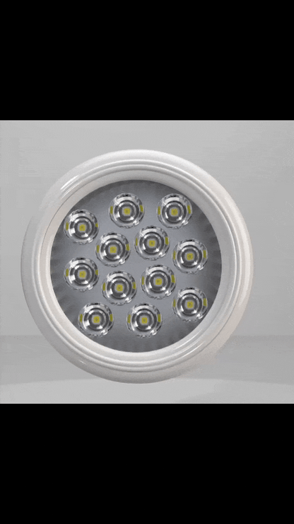 Animated Light